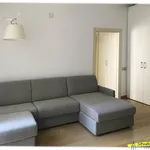 Rent 2 bedroom apartment of 78 m² in Turin