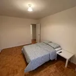 Rent 1 bedroom apartment in Old Toronto