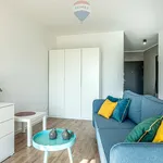 Rent 1 bedroom apartment of 35 m² in Poznan