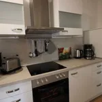 Rent 1 bedroom apartment of 463 m² in Dresden