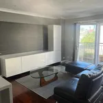 Rent 4 bedroom student apartment in Petersham