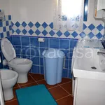 Rent 3 bedroom apartment of 75 m² in Olbia