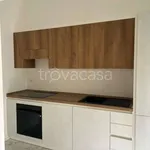 Rent 3 bedroom apartment of 97 m² in Torino