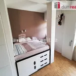 Rent 1 bedroom apartment in Praha 3