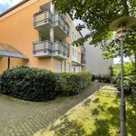 Rent 1 bedroom apartment of 45 m² in Chemnitz