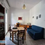 Rent 3 bedroom apartment of 76 m² in Bologna