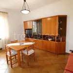 Rent 3 bedroom apartment of 87 m² in Torino