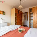 Rent 2 bedroom apartment of 41 m² in Litvínov