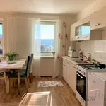 Rent 1 bedroom apartment of 36 m² in Brno