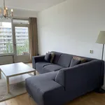 Rent 3 bedroom apartment of 110 m² in Amsterdam