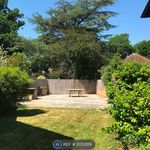 Rent 3 bedroom house in South East England