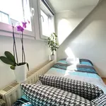 Rent 1 bedroom apartment of 12 m² in Hürth