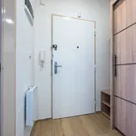 Rent 1 bedroom apartment in Capital City of Prague