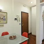 Rent 1 bedroom apartment in Rome