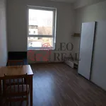 Rent 1 bedroom apartment in Rokycany