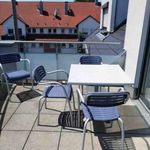 Rent 2 bedroom apartment of 53 m² in Ludwigsburg