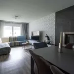 Rent 4 bedroom apartment of 80 m² in Bezannes