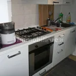 Rent 2 bedroom apartment of 55 m² in Bologna