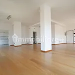 Rent 5 bedroom house of 253 m² in Turin