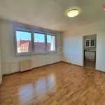 Pronajměte si 2 ložnic/e byt o rozloze 45 m² v Ostrava