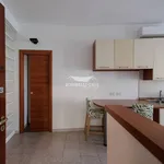 Rent 2 bedroom apartment of 55 m² in Milano