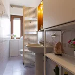 Rent 1 bedroom apartment in milan