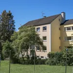 Rent 3 bedroom apartment of 75 m² in Lüdenscheid