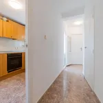 Alquilar 4 dormitorio apartamento en Valencia