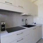 Rent 6 bedroom apartment in turin