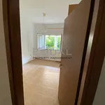 Rent 1 bedroom apartment of 60 m² in Πευκάκια