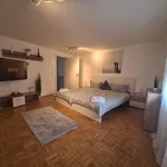 Rent 1 bedroom apartment of 45 m² in Kaiserslautern