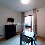 Rent 2 bedroom apartment of 45 m² in Pisa