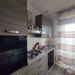 Rent 3 bedroom apartment of 70 m² in Pisa