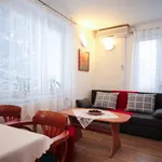 Rent 1 bedroom apartment of 40 m² in Prague