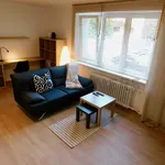 Rent 1 bedroom apartment of 49 m² in Pilsen