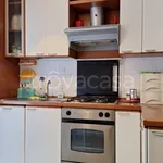 Rent 4 bedroom apartment of 90 m² in Bologna