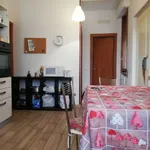 Rent 6 bedroom house of 100 m² in Florence