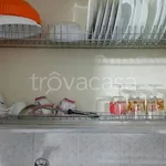 Rent 1 bedroom apartment of 40 m² in Torino