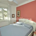 Rent 4 bedroom apartment of 130 m² in Trento