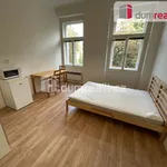 Rent 1 bedroom apartment of 25 m² in Capital City of Prague