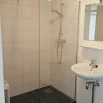 Rent 1 bedroom apartment in Zoetermeer