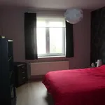 Rent 2 bedroom apartment in Leuven