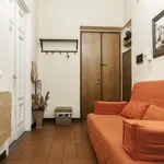 Rent 1 bedroom apartment in Florence