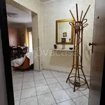 Rent 2 bedroom apartment of 60 m² in Trapani