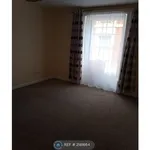 Rent 1 bedroom flat in East Of England