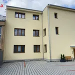 Rent 1 bedroom apartment of 41 m² in vizovice