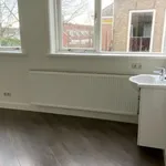 Rent 1 bedroom apartment of 16 m² in Leeuwarden