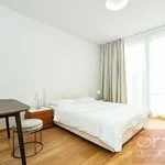 Rent 5 bedroom apartment of 60 m² in Prague