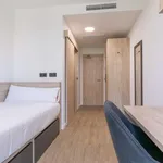 Rent 1 bedroom apartment of 15 m² in madrid