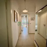 Rent 3 bedroom apartment of 80 m² in Ragusa